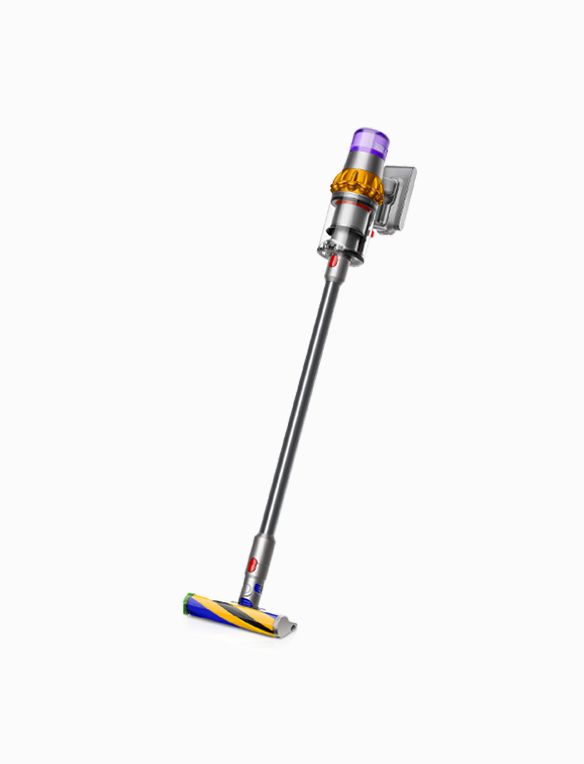 Dyson V15 Model Shot