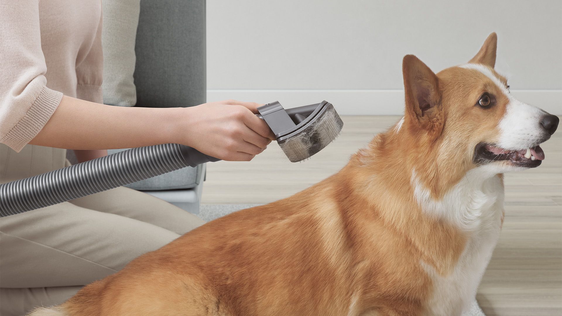 Pet Grooming Kit Dyson Malaysia pet-grooming-kit-dyson-malaysia