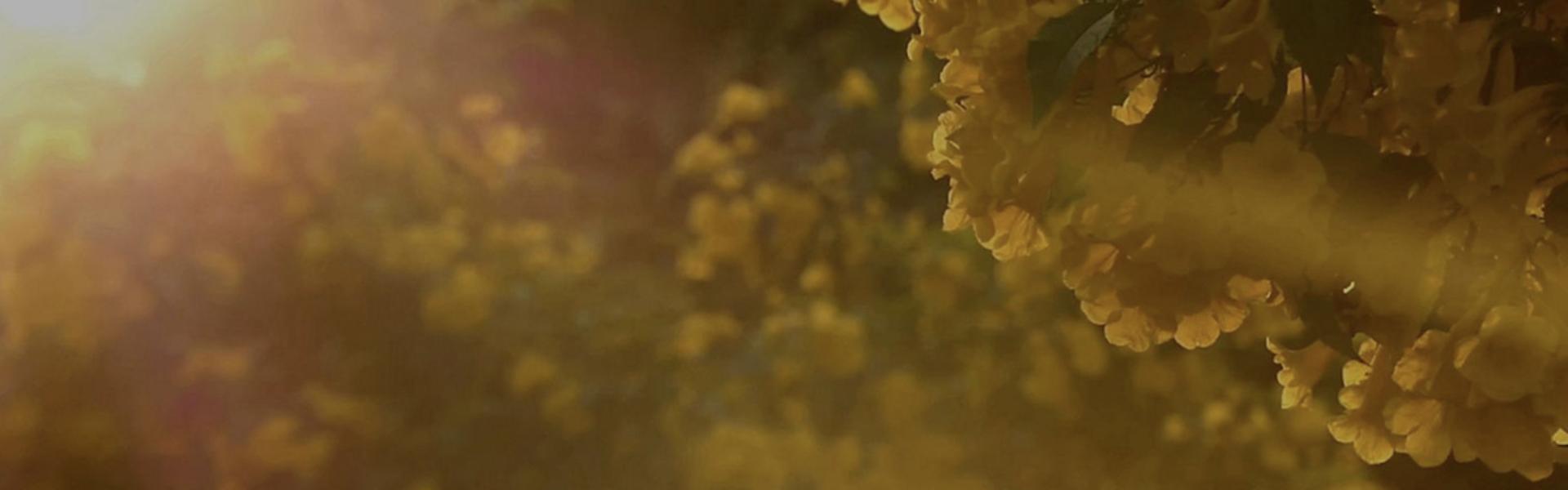 Bir evin dışında ve içindeki havadaki partiküller