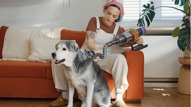 Köpeğini tımarlayan bir Dyson sahibi.