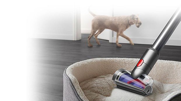 Arkada bir köpek ve önde Dyson anti-tangle motorhead.