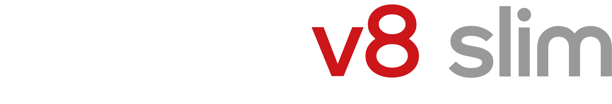 Dyson V8 Slim logo