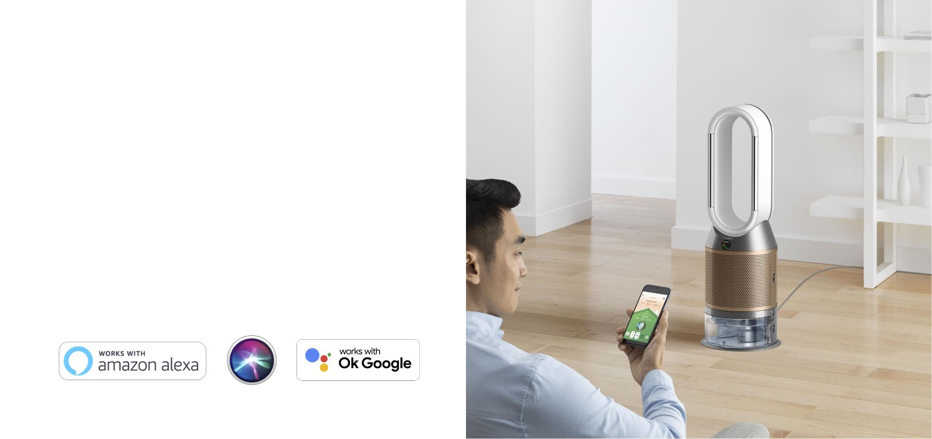 Man using Dyson link app beside Dyson purifier humidifier