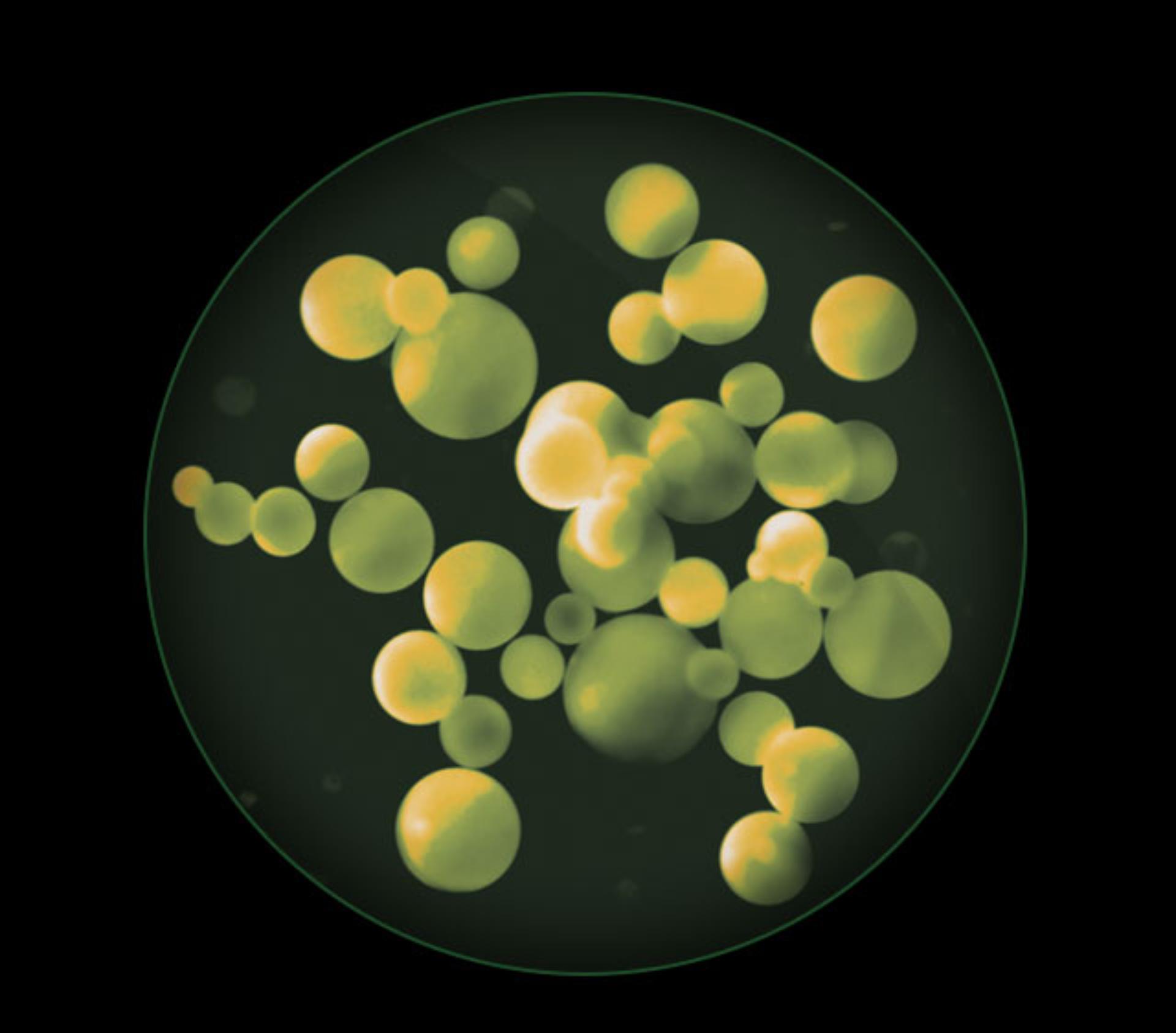 포름알데히드를 포함한 유해 물질과 가스를 특수 현미경으로 확대한 모습