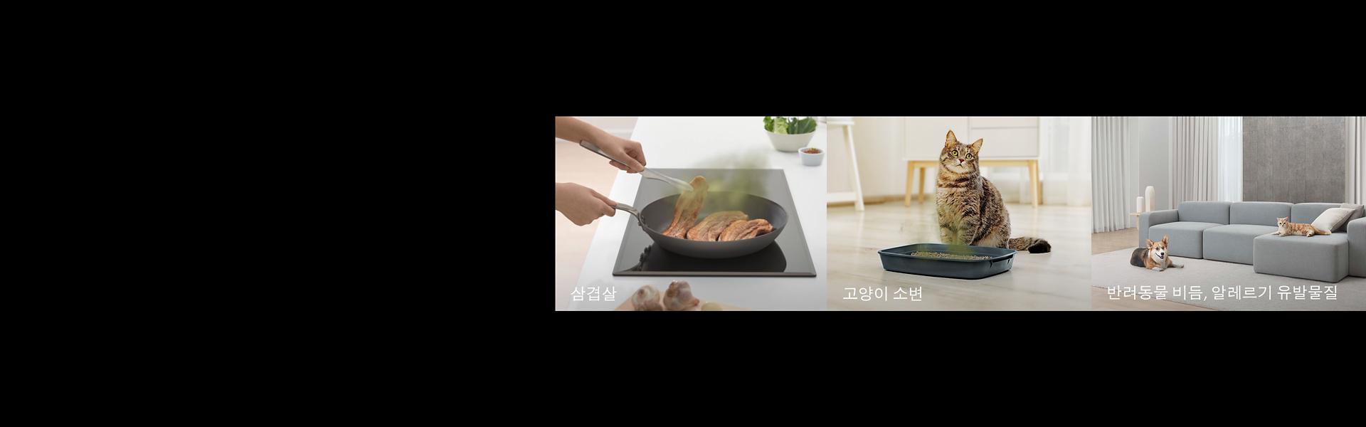 Image of cooking, pets and garbage