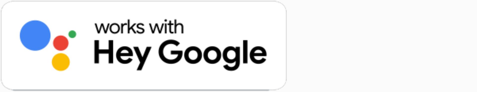 logo systemu Asystent Google