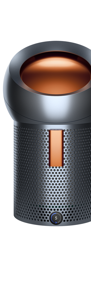 Dyson BP01