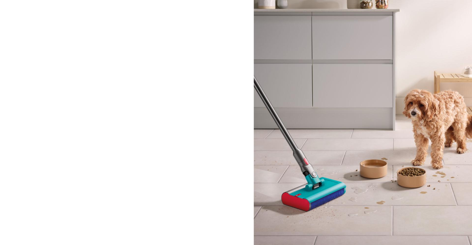 „Dyson Submarine“ naudojamas letenų pėdsakams valyti, kol šuo stebi.