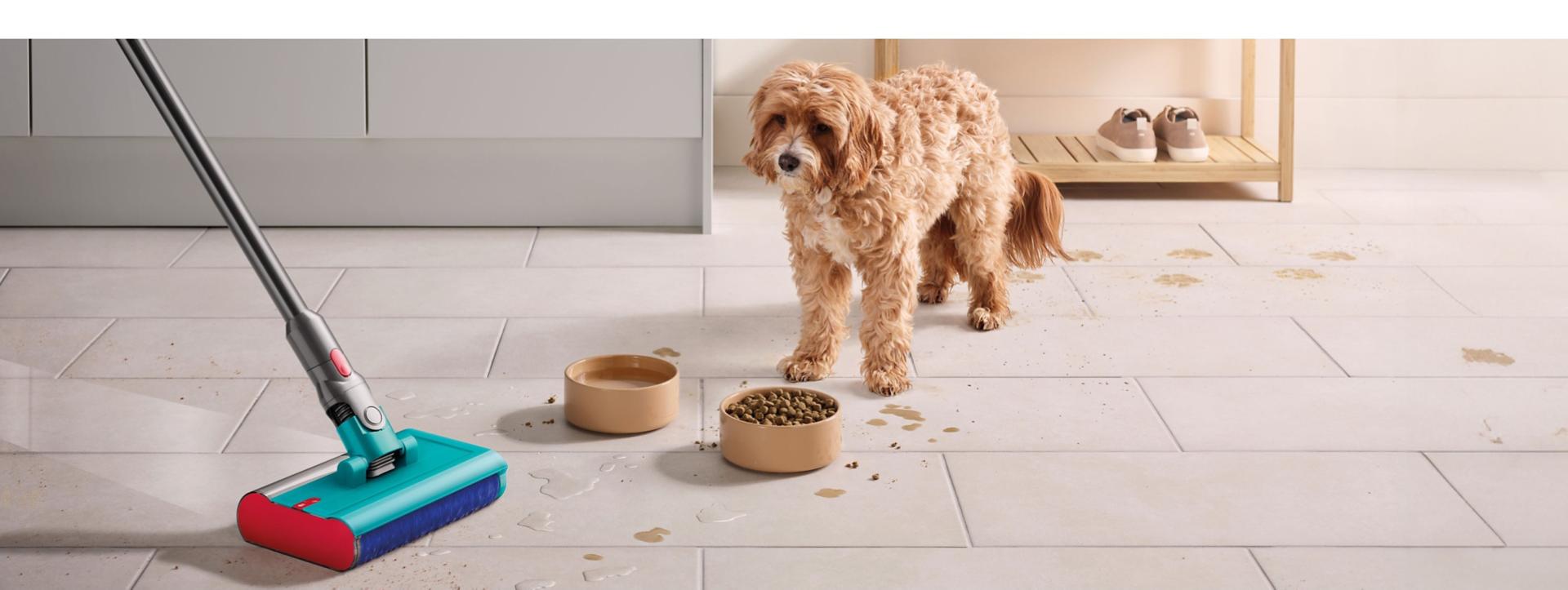 A Dyson vacuum with the Submarine wet roller head is used by a pet owner to clean a spill from their dog’s bowl.