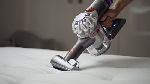 Shop the Dyson V8 Focus Clean™ handheld vacuum