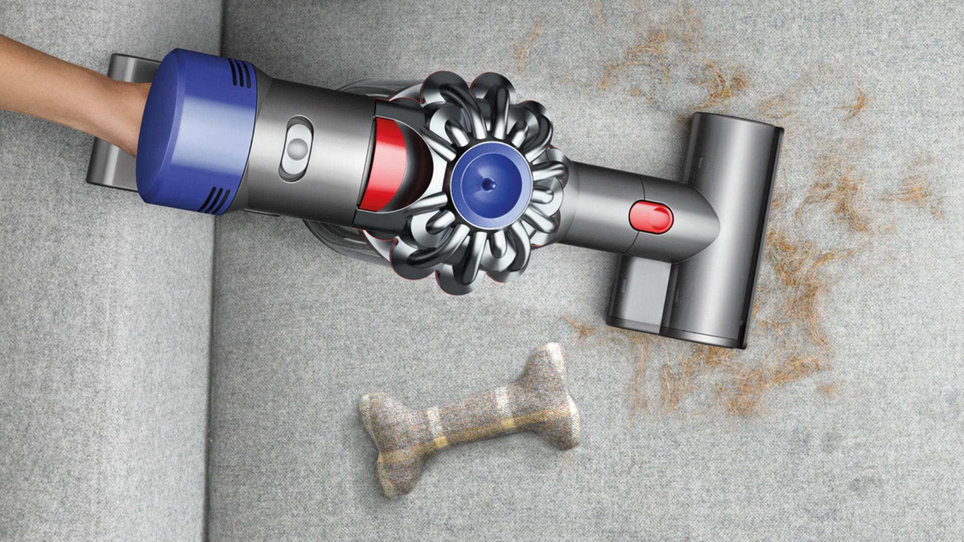 Dyson V7 手提吸塵機在寵物身後清理梳化