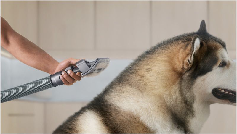 Dyson s pet grooming kit Dyson NZ