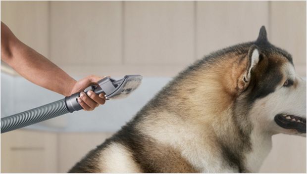 Close up of a Pet groom tool loaded with hair