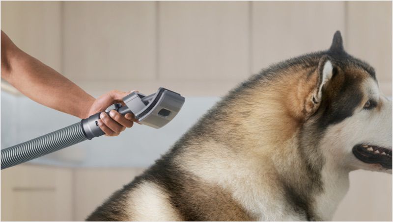 Dyson s pet grooming kit Afterpay Available Dyson Australia