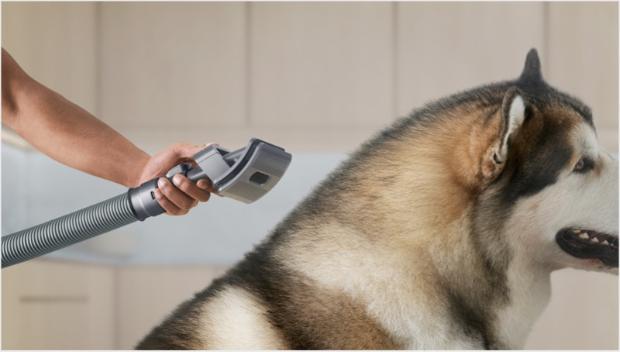 Close-up of the Pet groom tool's flexible bristles