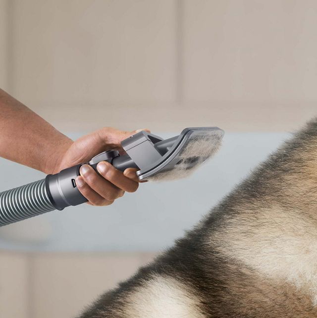 Dyson Pet Groom Tool Clean Up Accessory Kit for Upright and Canister  Vacuum's
