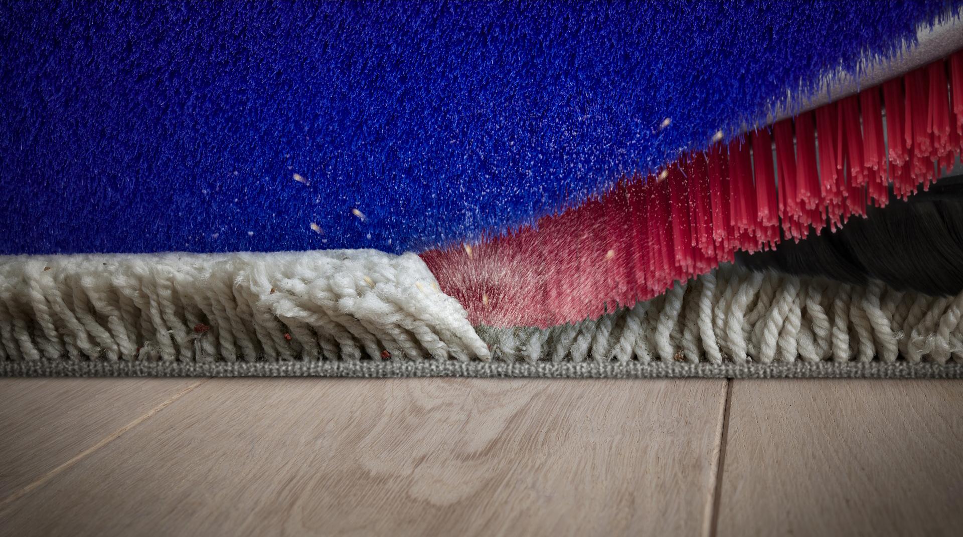 صورة مُقرَّبة لشعيرات النايلون القوية بمكنسة Dyson 360 Vis Nav بينما تقوم بإزالة الأتربة من سجاد عميق الوبر