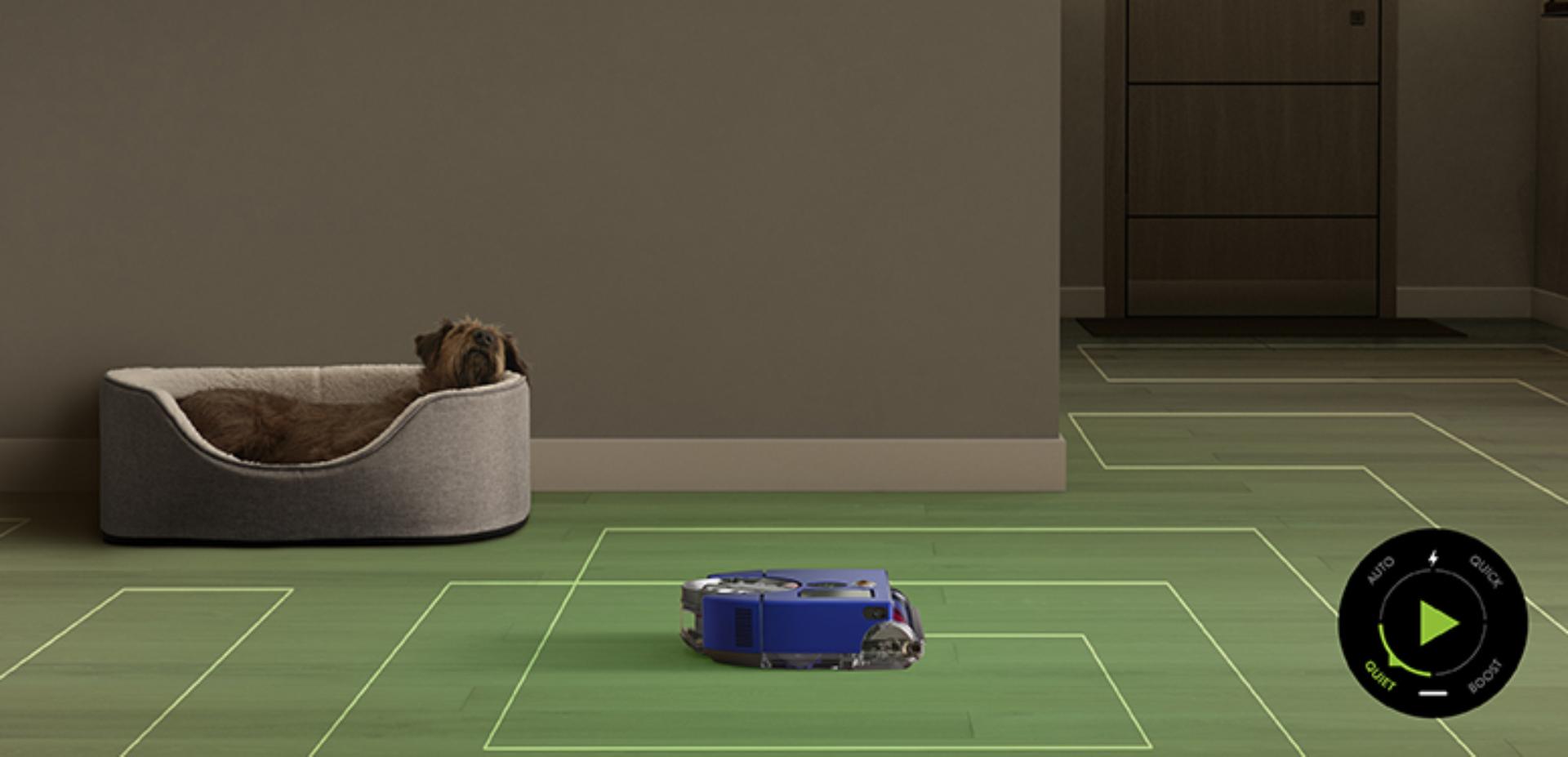 Robot w trakcie sprzątania przestrzeni, w której śpi zwierzę domowe