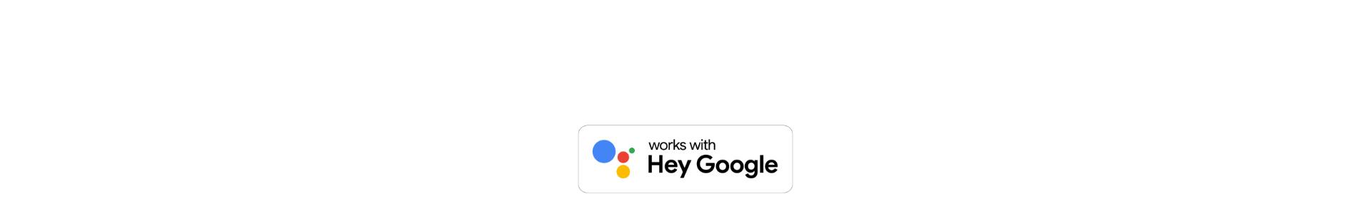 Hey Google logo