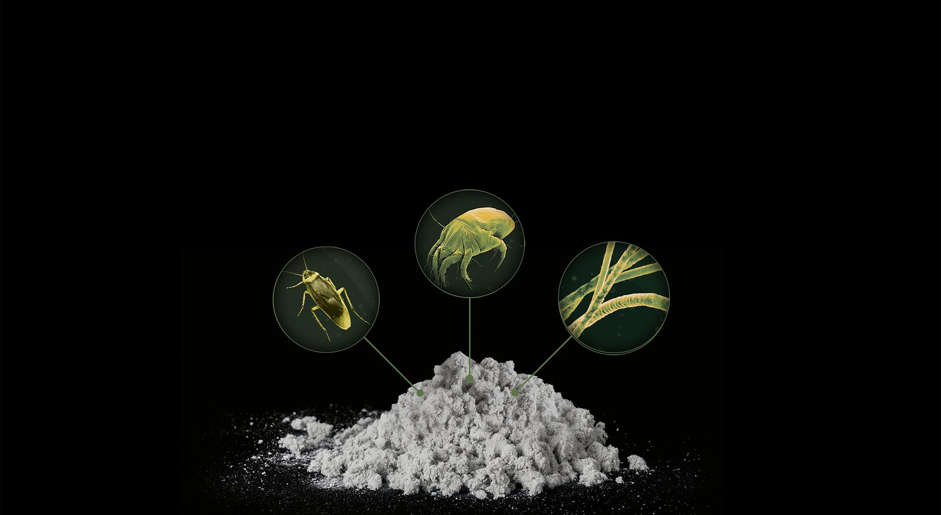 Pile of dust with three types of allergens visible