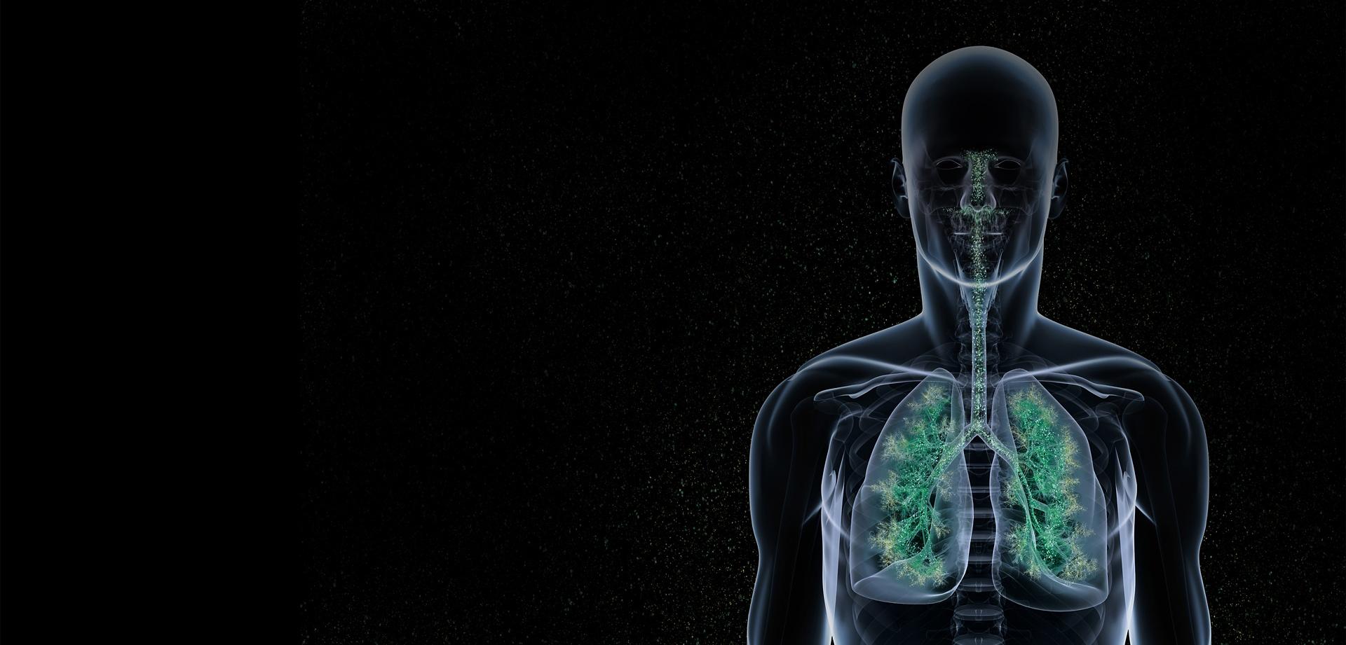 Dust visible in human lungs