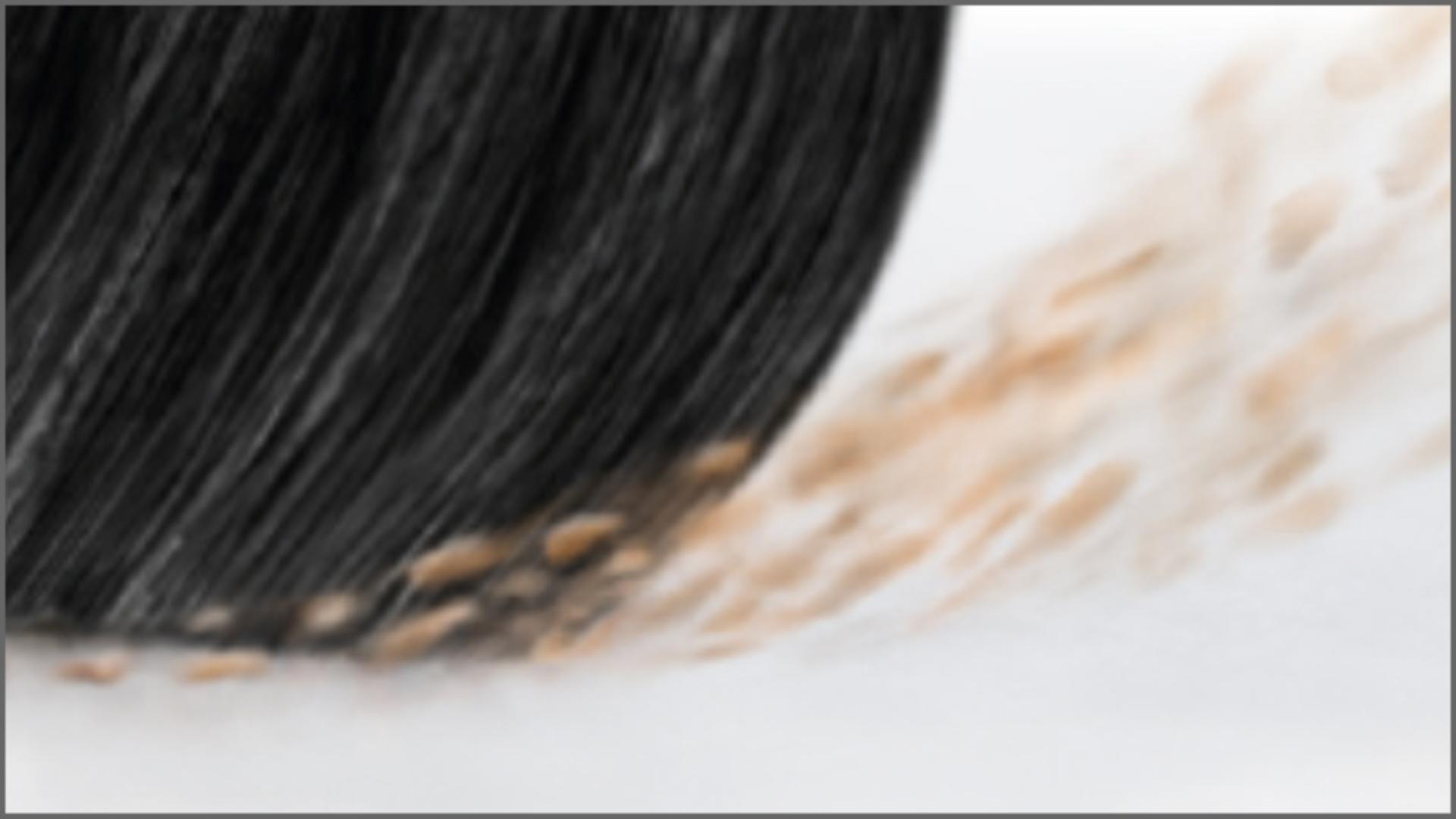 Filamentos de fibra de carbono en la barra de cepillo del cabezal High Torque de Dyson