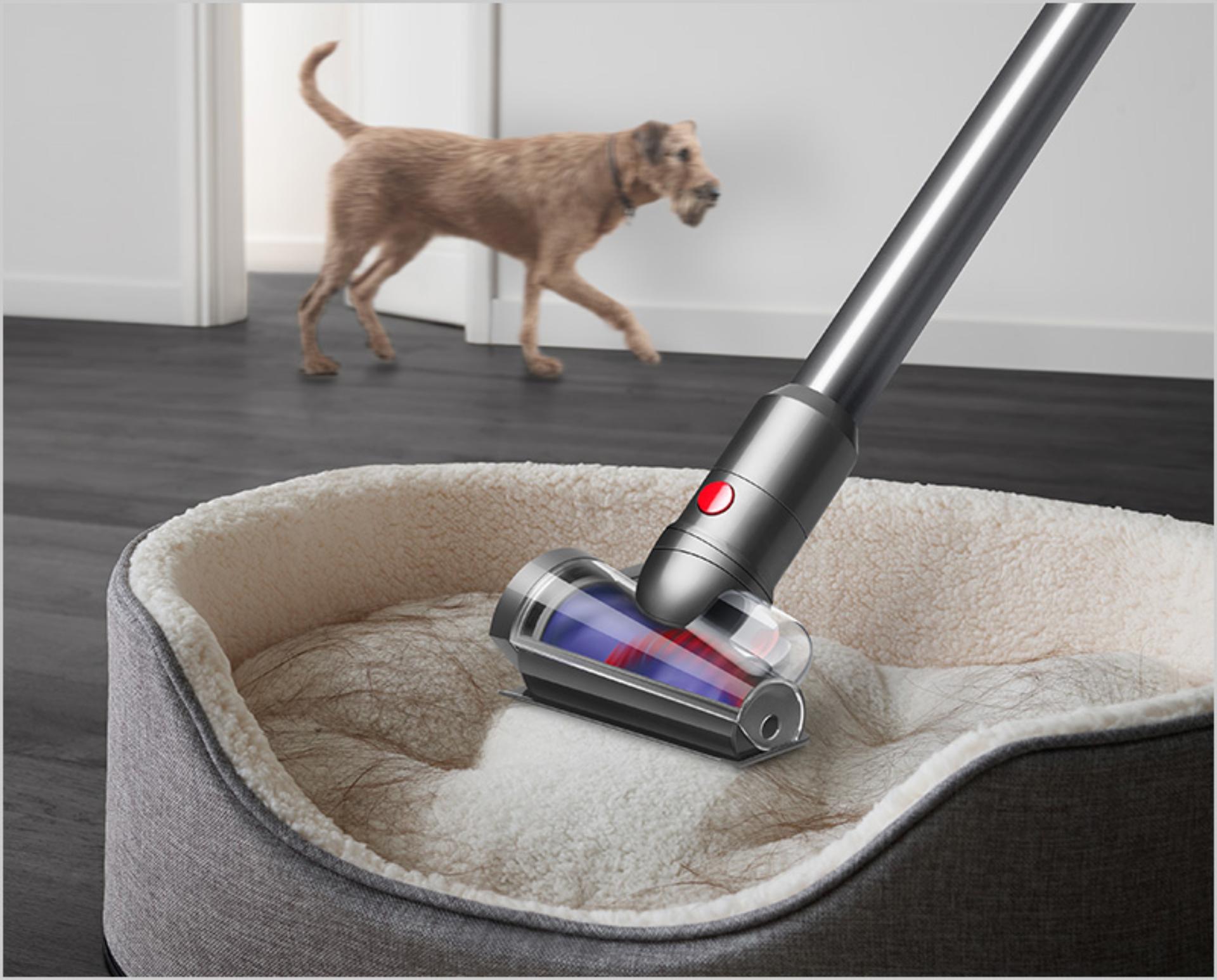 Dyson Hair screw tool cleaning a pet bed.
