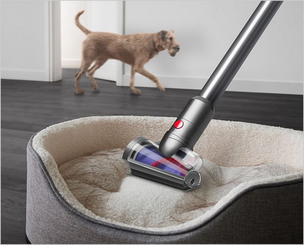 Dyson Hair screw tool cleaning a pet bed.