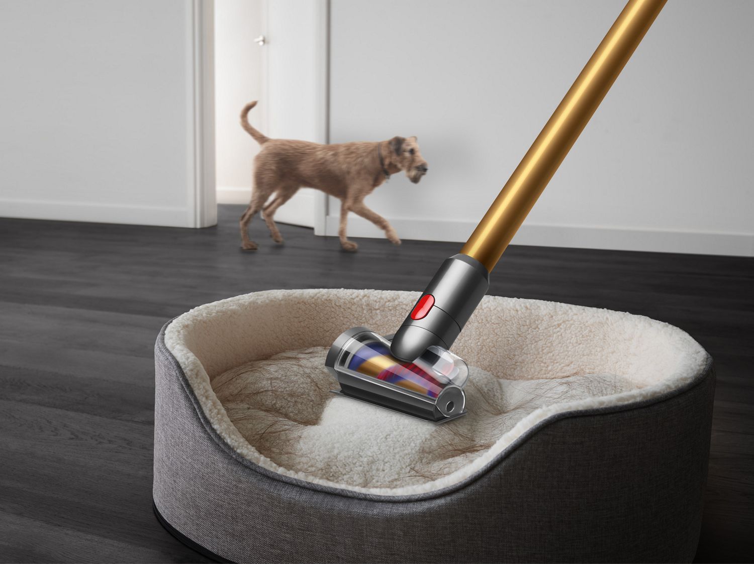 dyson pet hair vacuum