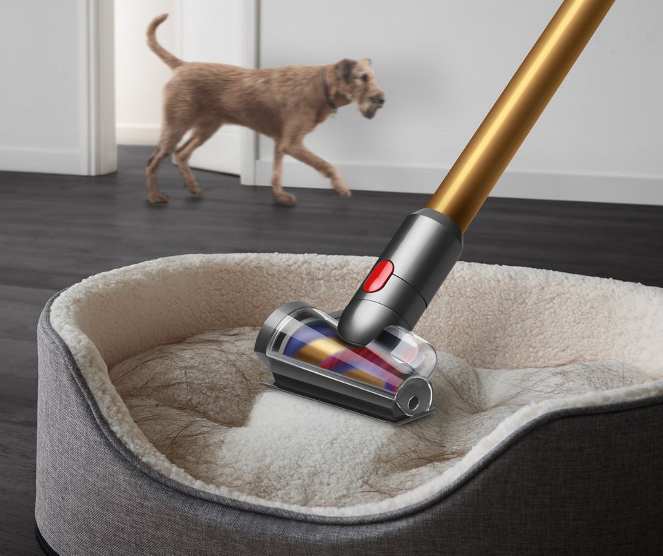 Dyson Outsize vacuum with Hair screw tool attachment cleaning hair from a dog bed.