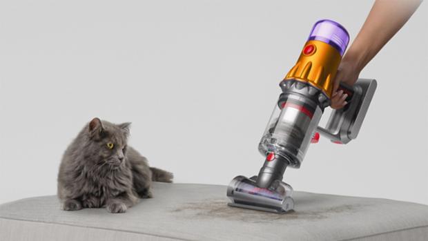 Koltuktaki tüylerin temizlenmesini izleyen bir kedi