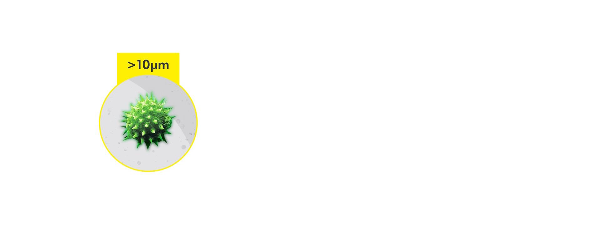 الجسيمات الأكبر من 10 ميكرون