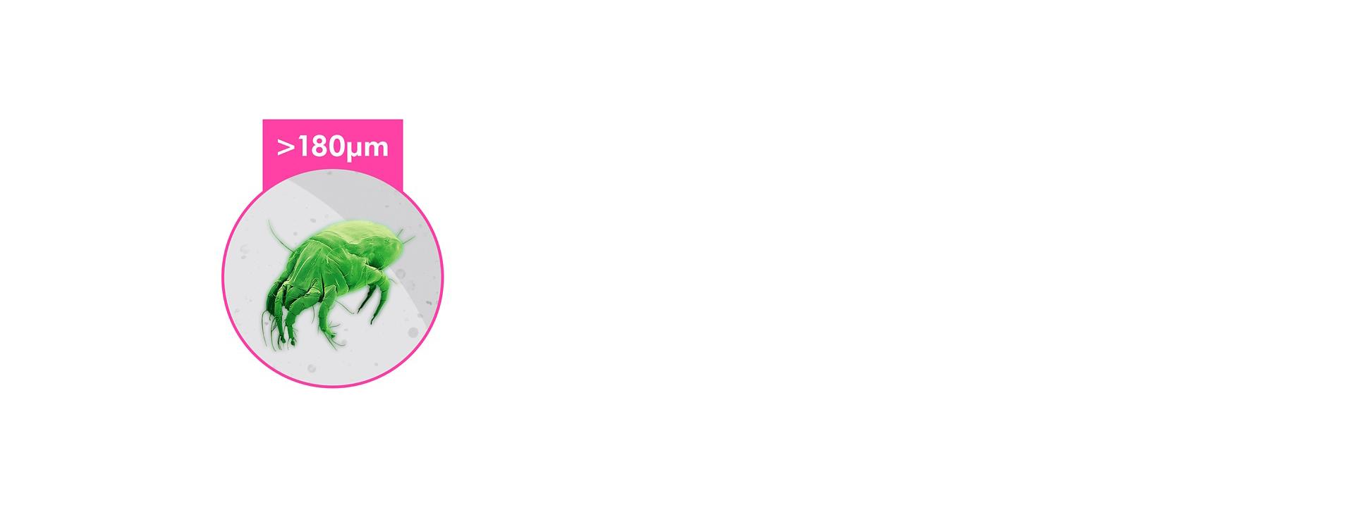 الجسيمات الأكبر من 180 ميكرون