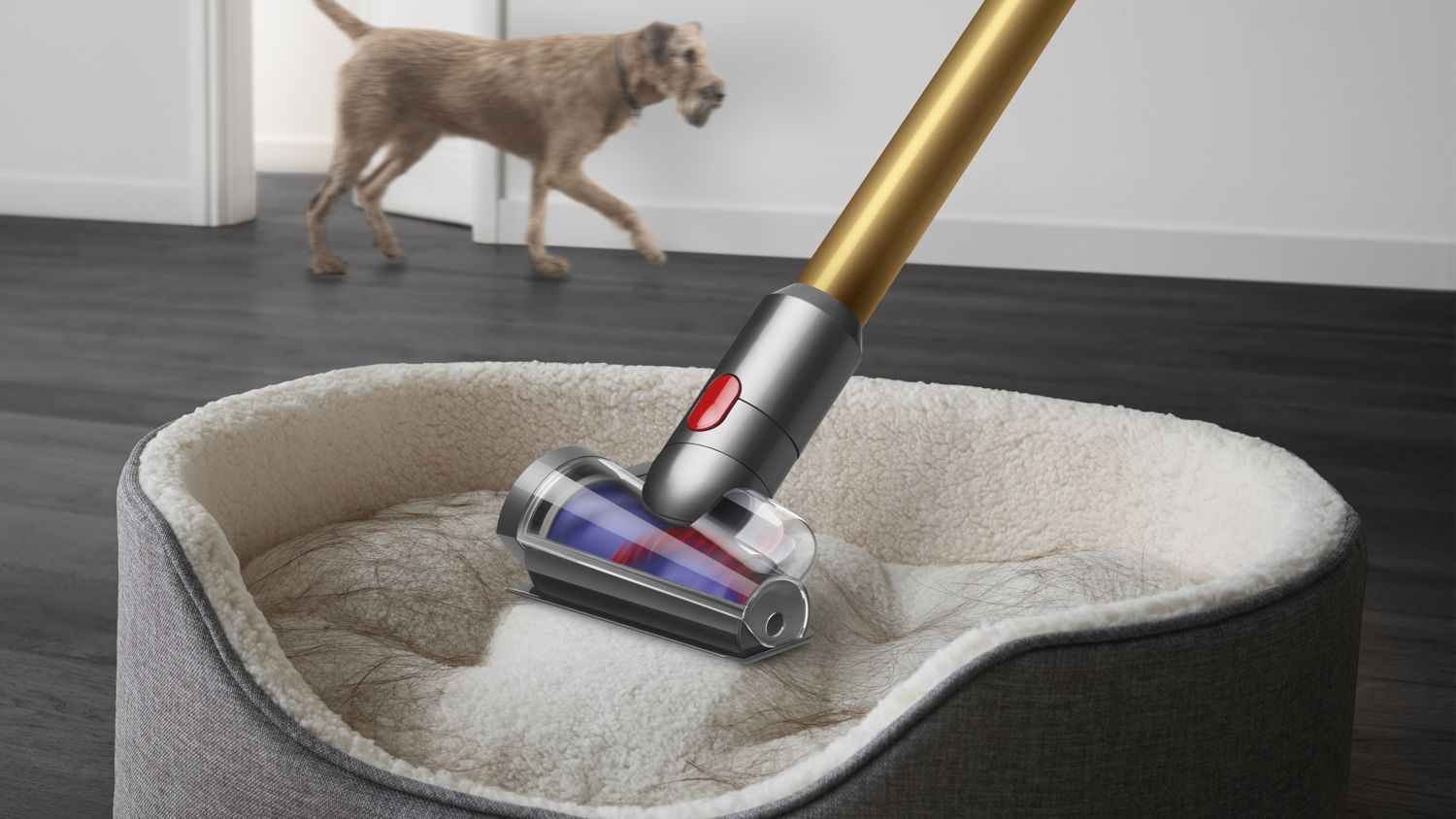 【未開封】Dyson V12 detect Slim absolute Dyson V12 Detect Slim™ Absolute