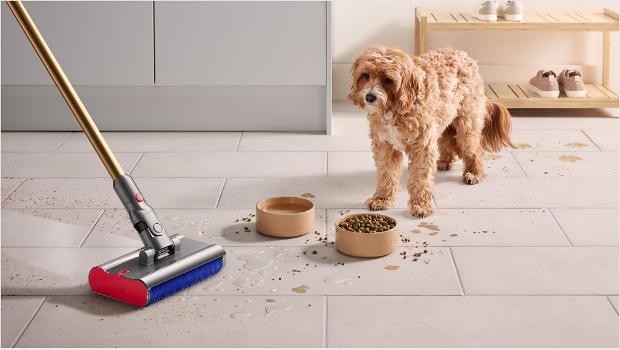Dog with mess around dog bowls with