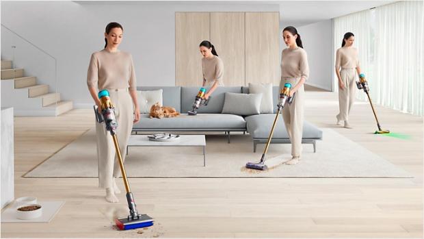A person vacuuming after their pet in a living room area