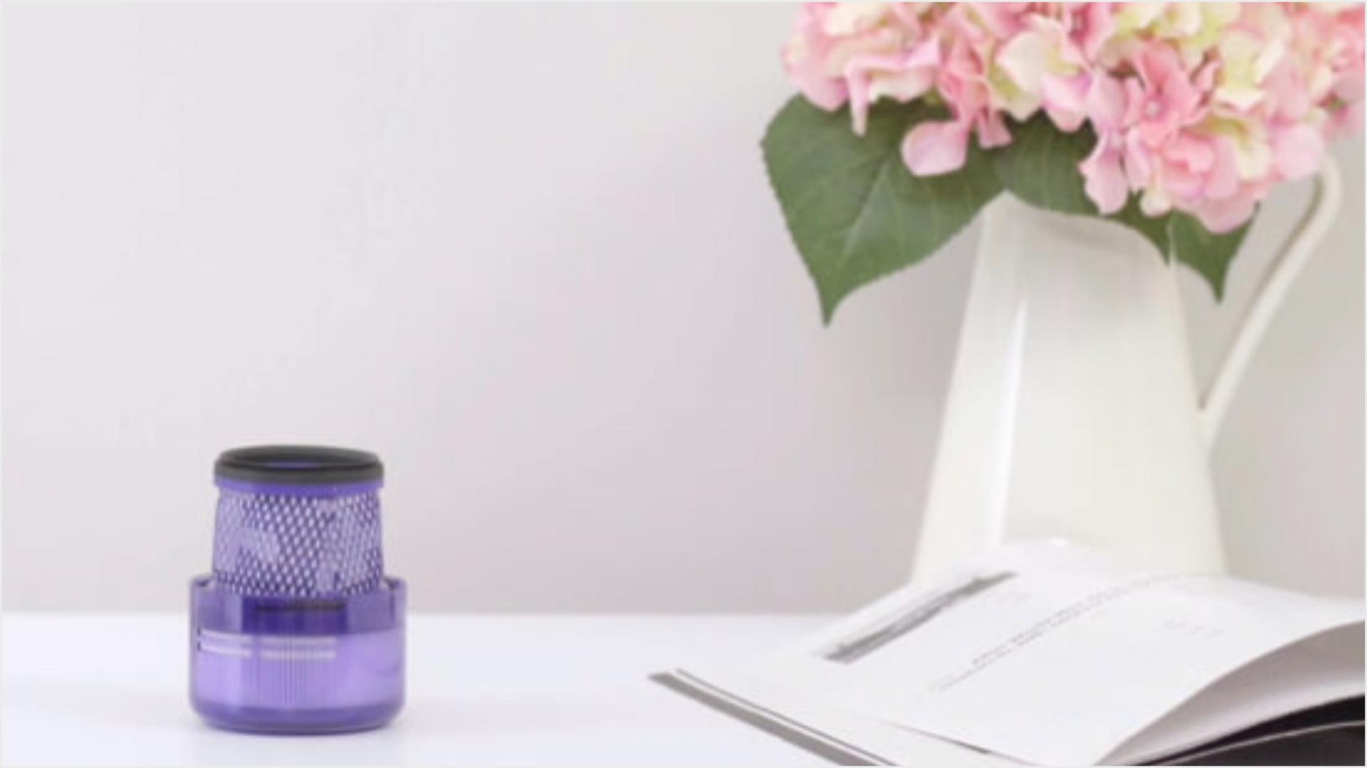 Filter left to dry completely for 24 hours.