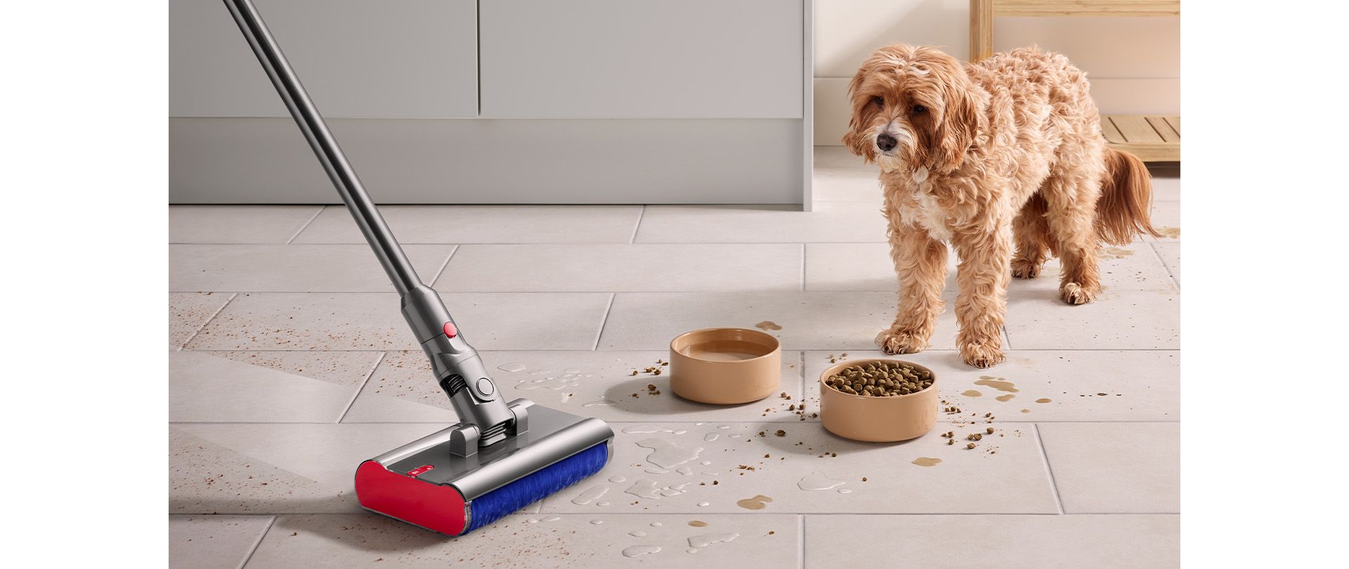 Dyson V15 Subamrine is cleaning the dogs food