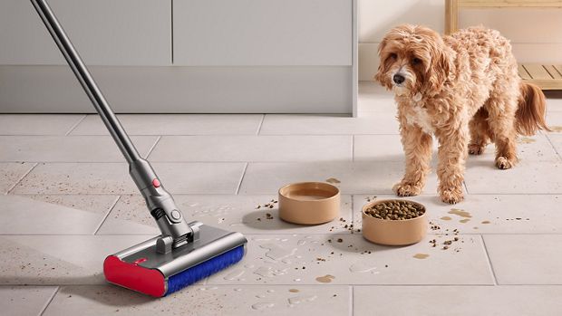Dyson V15 Subamrine is cleaning the dogs food