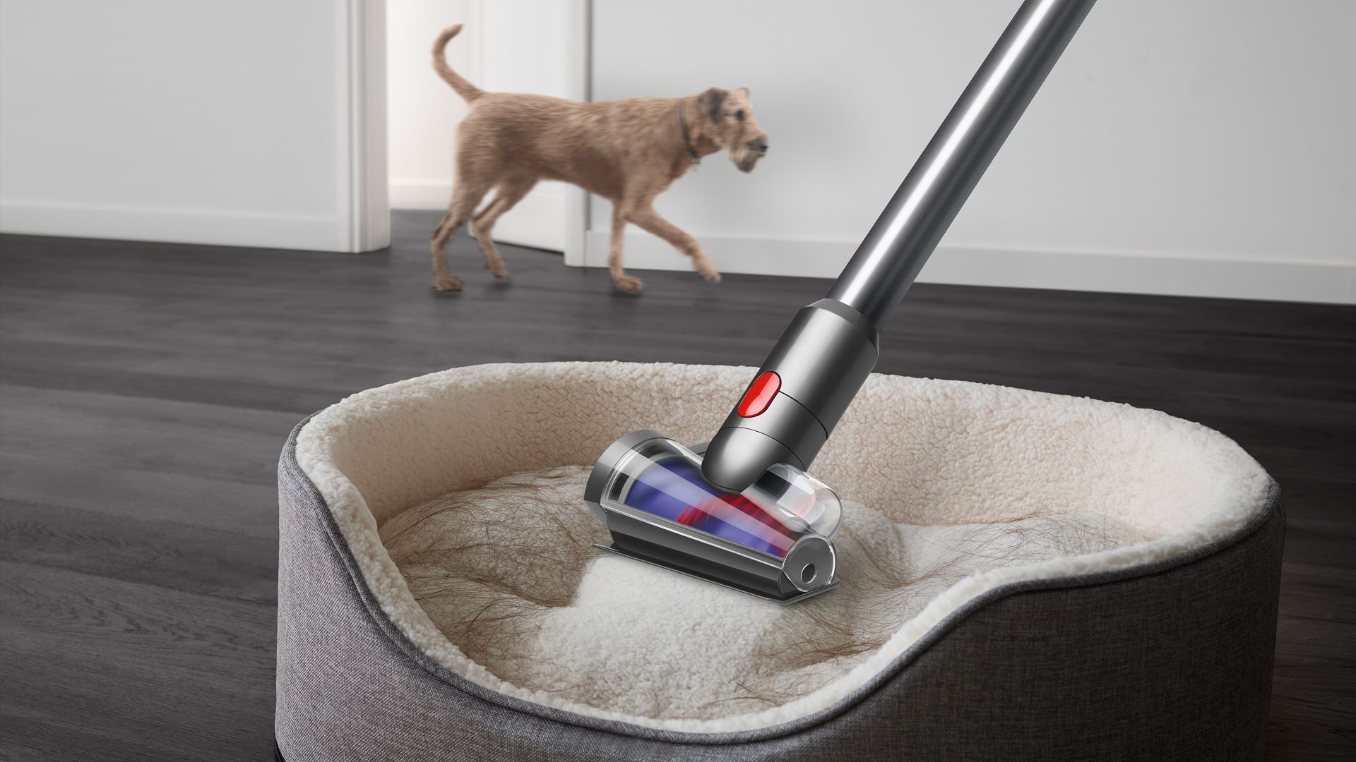 Review] Dyson V15 Detect Absolute (HEPA) cordless vacuum