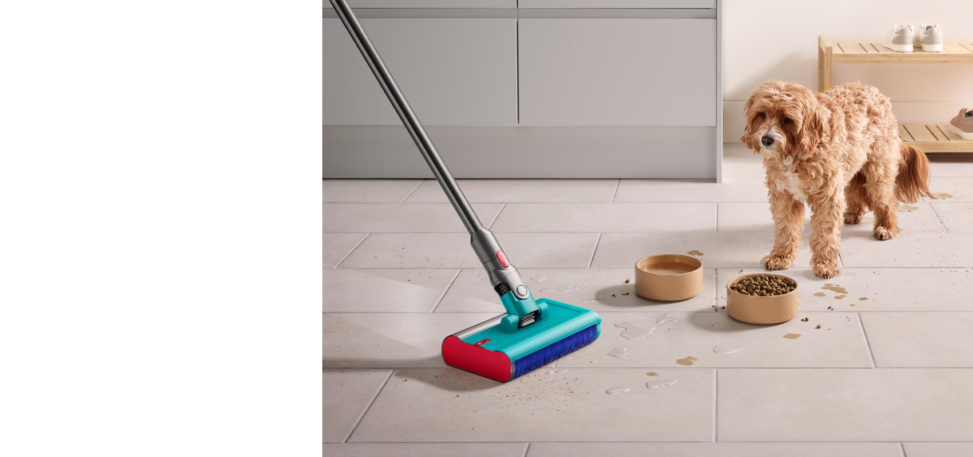 Bir köpek yiyecek ve su kabına doğru bakarken etrafı temizleyen Dyson Submarine ıslak temizleme başlığı.