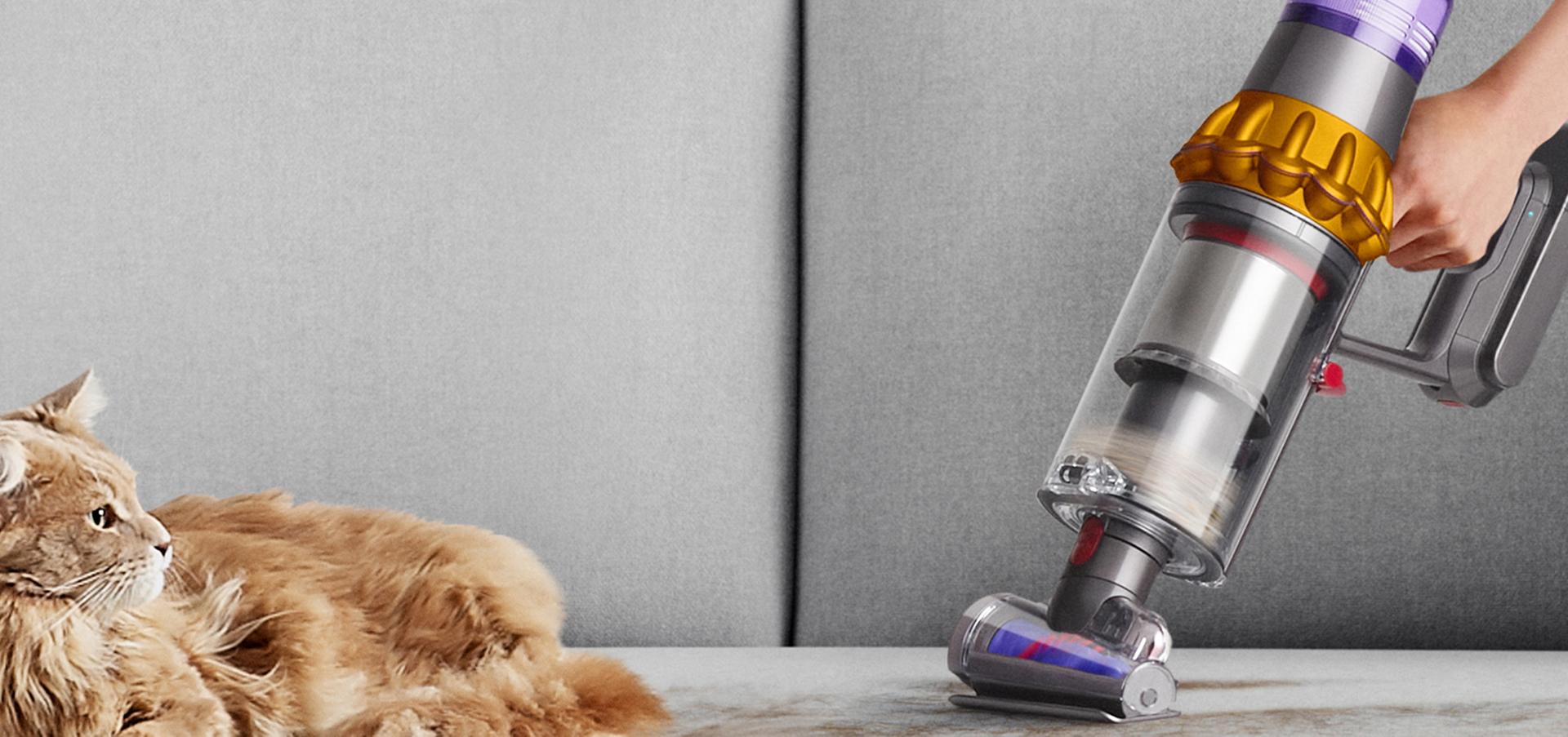 Dyson V15s with Hair screw tool in handheld mode removes fur from a sofa while a cat sits nearby.