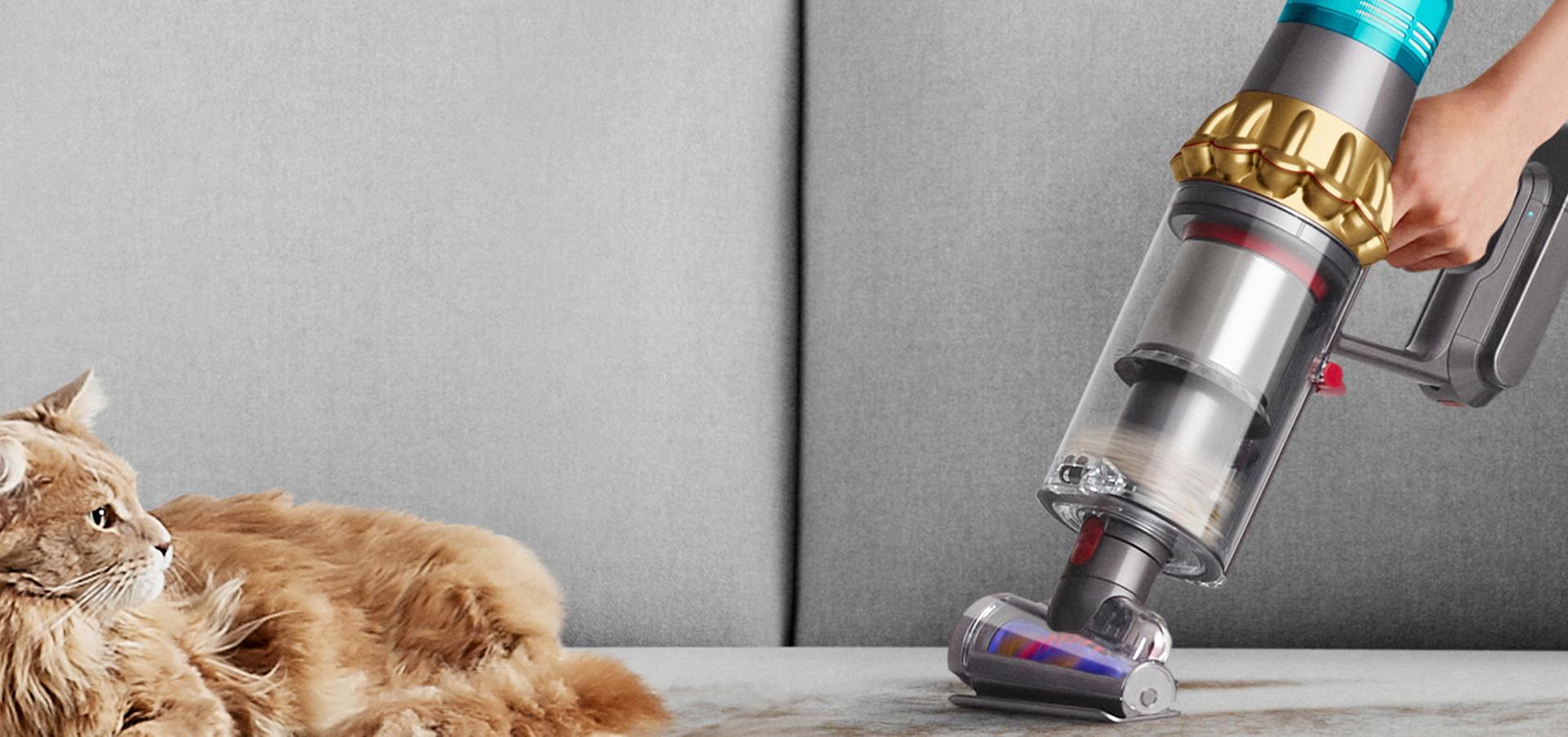 Dyson V15s with Hair screw tool in handheld mode removes fur from a sofa while a cat sits nearby.