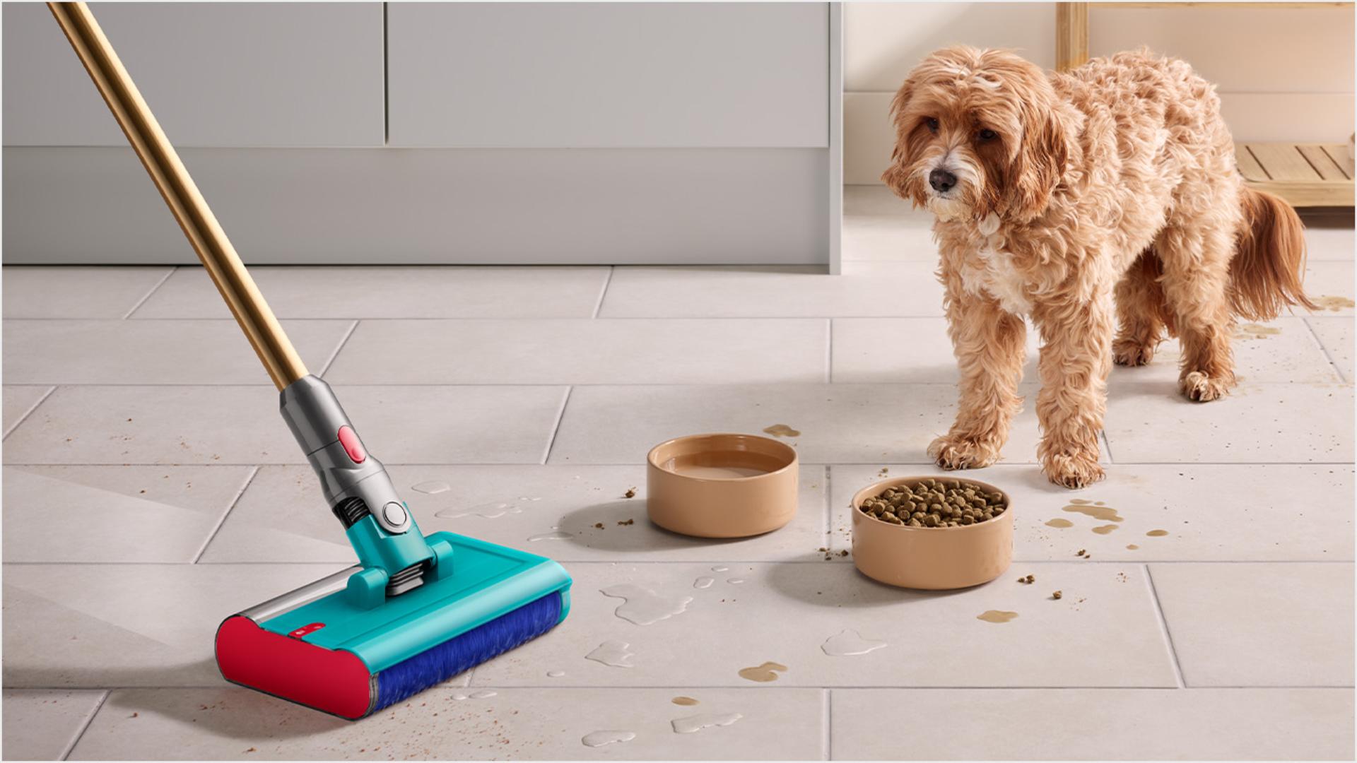 Dog stares past food and water bowl as Dyson Submarine wet roller head cleans.