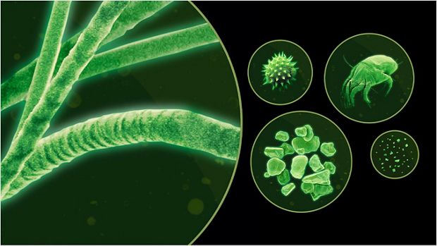 Various tiny particles as viewed under a microscope with a green tint.