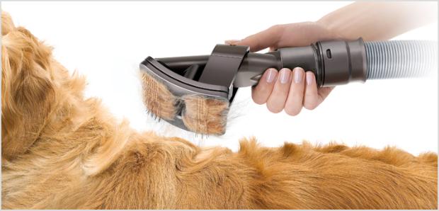 Köpek tüyü temizleme başlığı