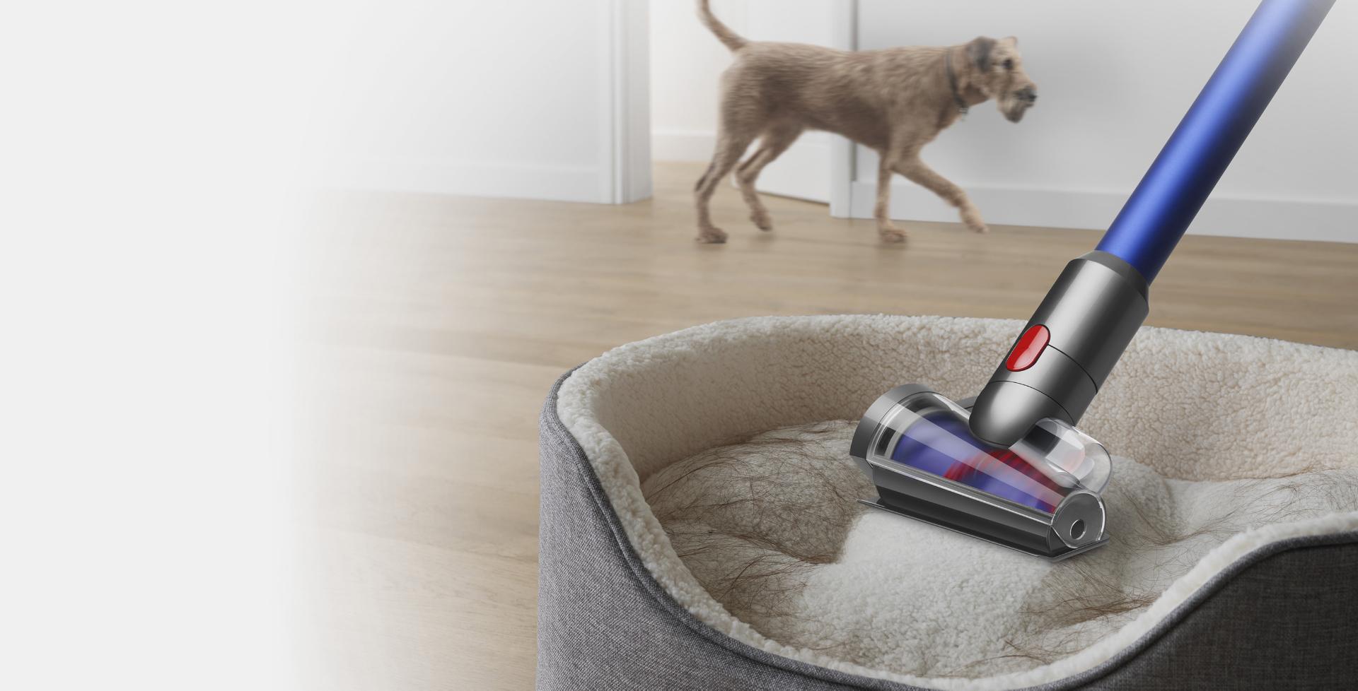 Mini elektroszczotka zapobiegająca plątaniu czyszcząca legowiska od psa
