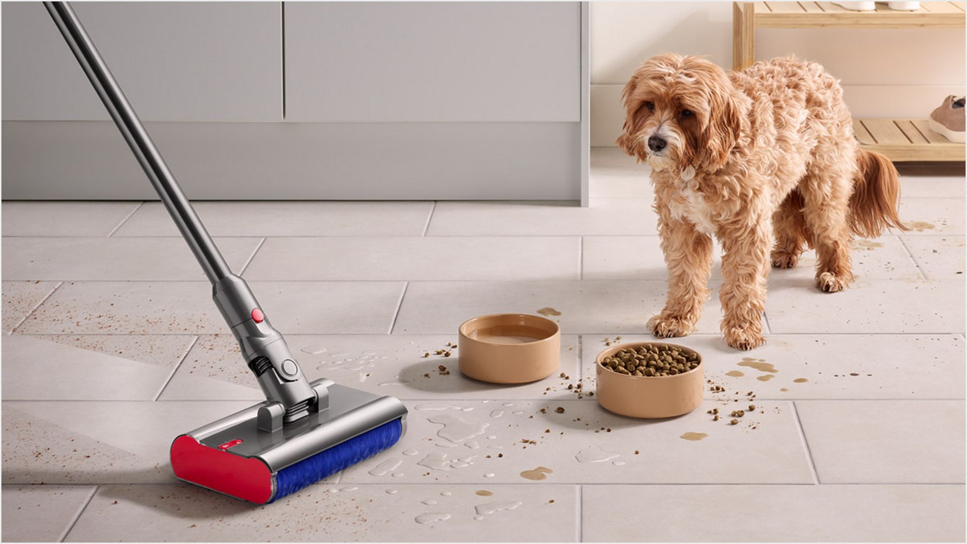 狗盯著食物和水兜,同時 Dyson V12s Origin SubmarineTM 洗地滾筒吸頭正清理廚房地板上的食物碎屑及濺出液體。