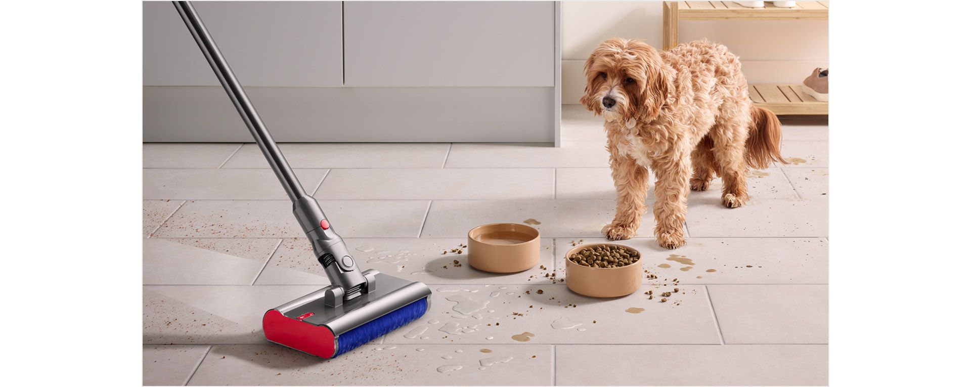 狗盯著食物和水兜，同時 Dyson V12s Origin SubmarineTM 洗地滾筒吸頭正清理廚房地板上的食物碎屑及濺出液體。