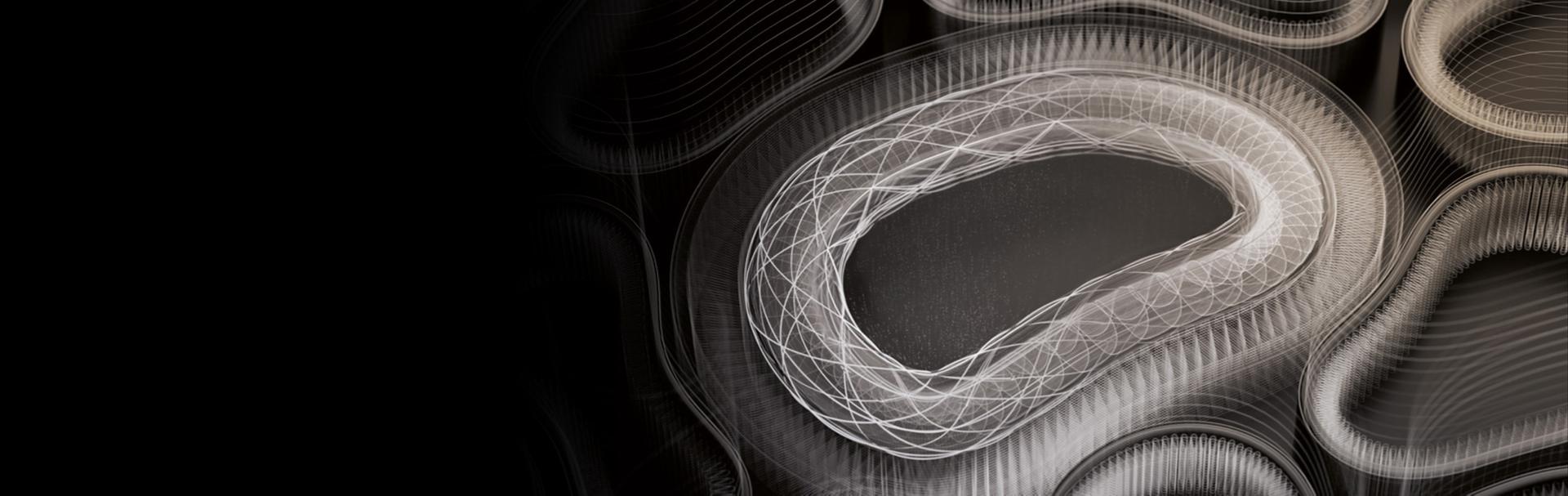 버섯의 미세한 세포벽을 컴퓨터로 시각화